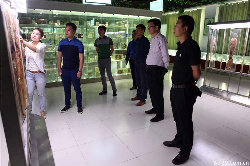 山東力明科技職業(yè)學院