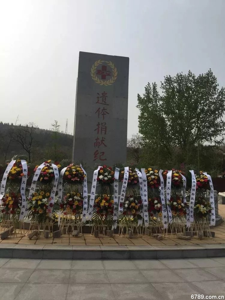 口腔醫(yī)學(xué)|護(hù)理招生|民辦學(xué)校|口腔醫(yī)學(xué)|民辦院校招生|力明學(xué)院|山東|中西醫(yī)結(jié)合|醫(yī)學(xué)|臨床醫(yī)學(xué)|口腔醫(yī)學(xué)|中醫(yī)|中藥|護(hù)理|針灸|推拿|大學(xué)|學(xué)院|民辦|私立|高職|?？苵本科|成人教育|遠(yuǎn)程教育|脫產(chǎn)|業(yè)余|函授|夜大|理工|文史|藝術(shù)|體育|護(hù)士管理公司|南丁格爾|幸福公社|養(yǎng)老院