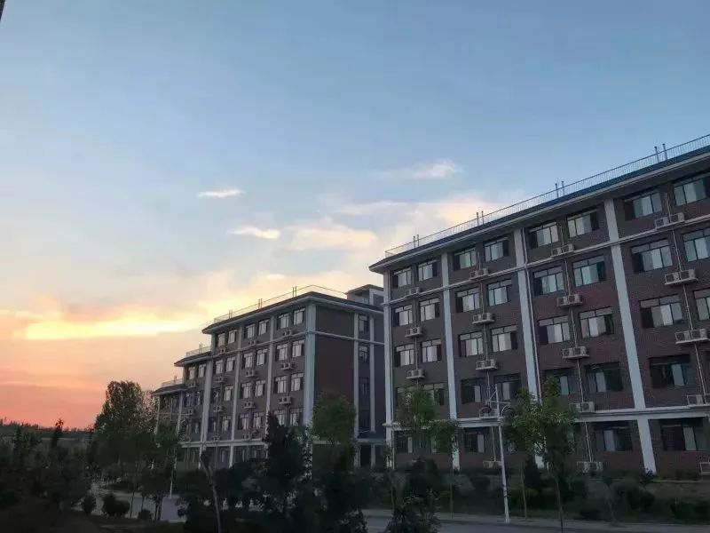 山東力明科技職業(yè)學院