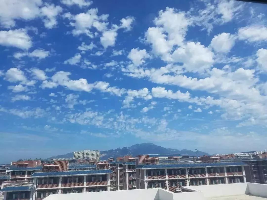 山東力明科技職業(yè)學院