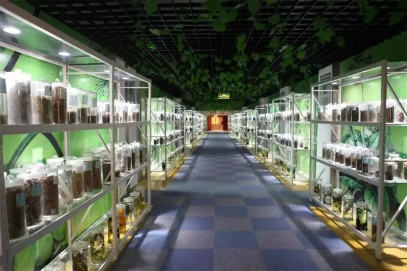 undefined 山東力明科技職業(yè)學(xué)院