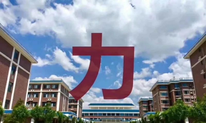 undefined 山東力明科技職業(yè)學(xué)院