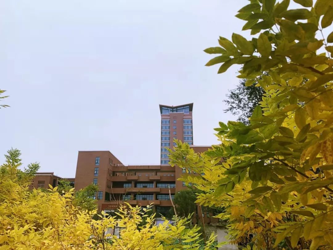 山東力明科技職業(yè)學院