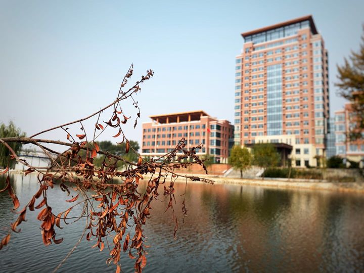 山東力明科技職業(yè)學院 山東力明科技職業(yè)學院