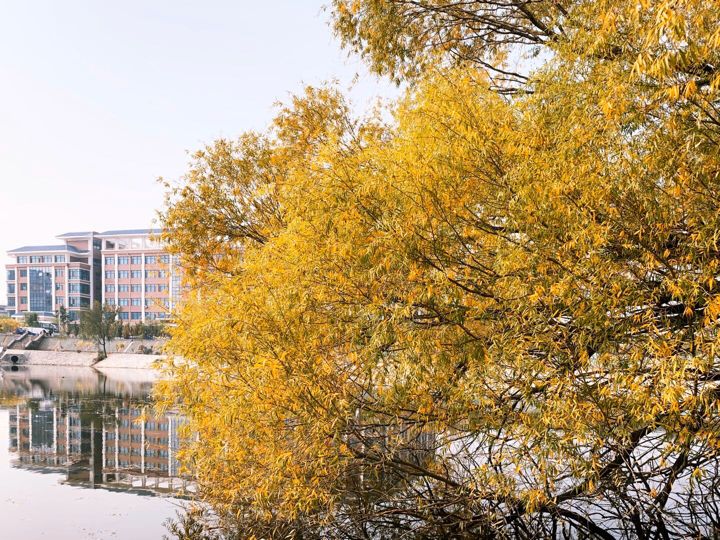 山東力明科技職業(yè)學院 山東力明科技職業(yè)學院