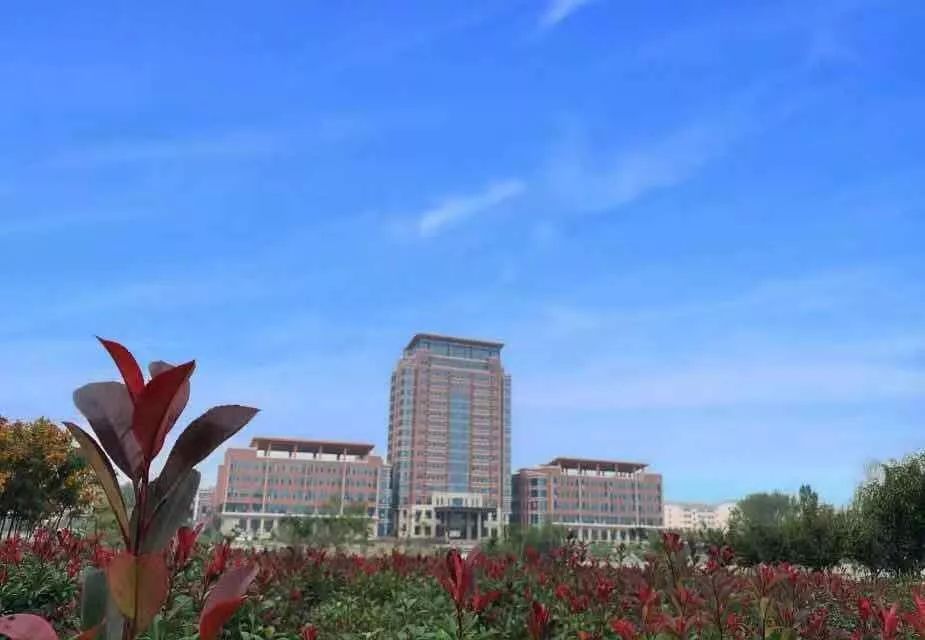 山東力明科技職業(yè)學院