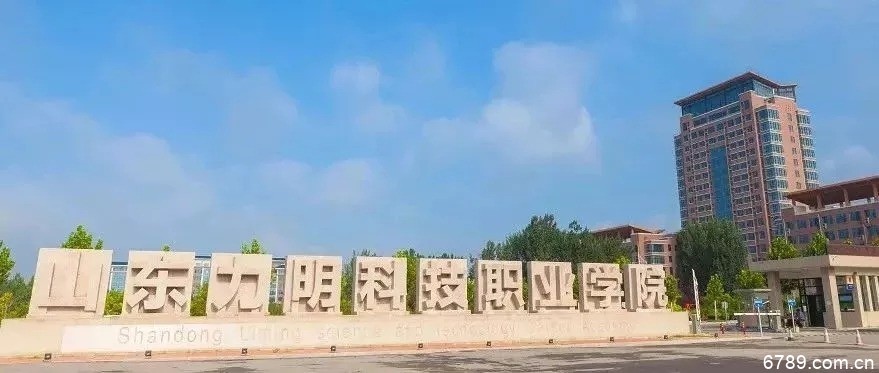山東力明科技職業(yè)學(xué)院 山東力明科技職業(yè)學(xué)院