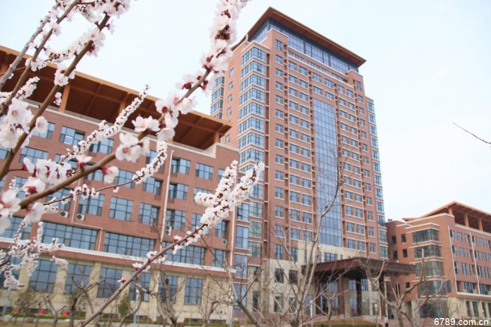山東力明科技職業(yè)學院 山東力明科技職業(yè)學院