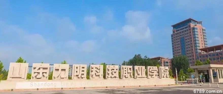 山東力明科技職業(yè)學(xué)院 山東力明科技職業(yè)學(xué)院
