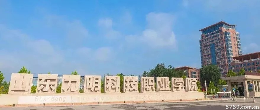 山東力明科技職業(yè)學院