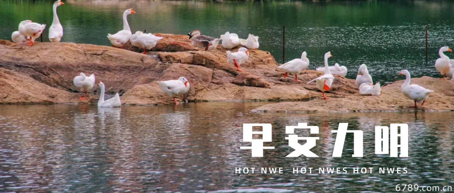 山東力明科技職業(yè)學院