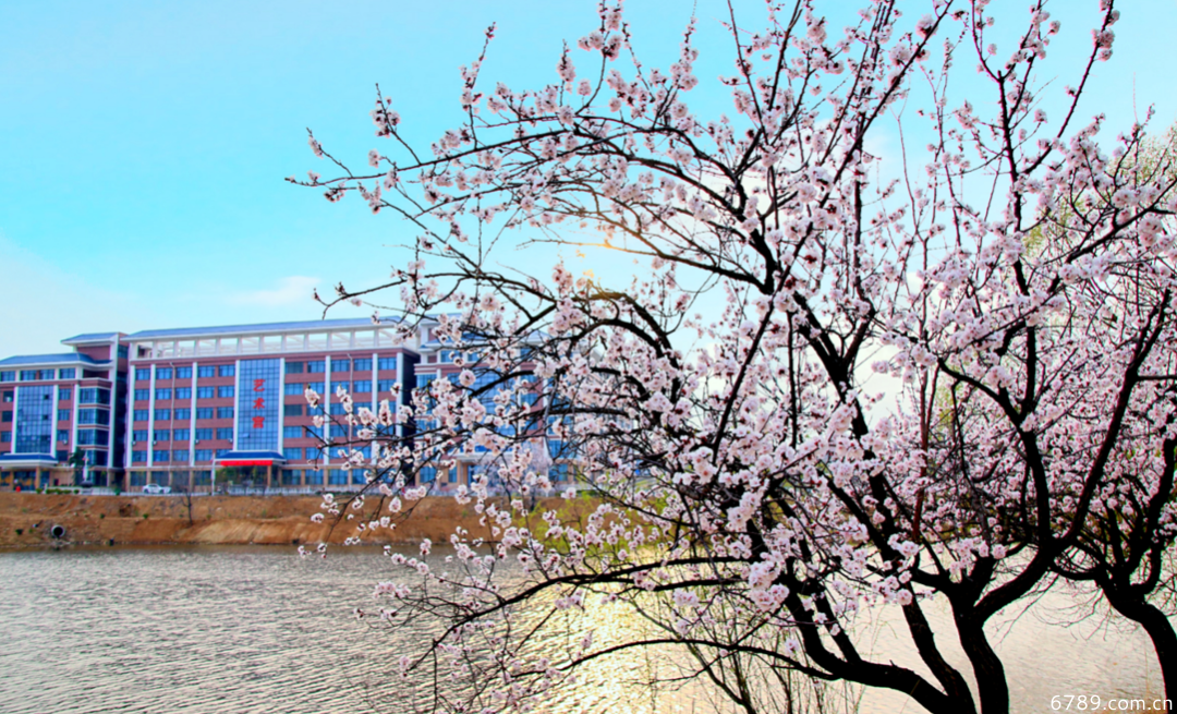 山東力明科技職業(yè)學院
