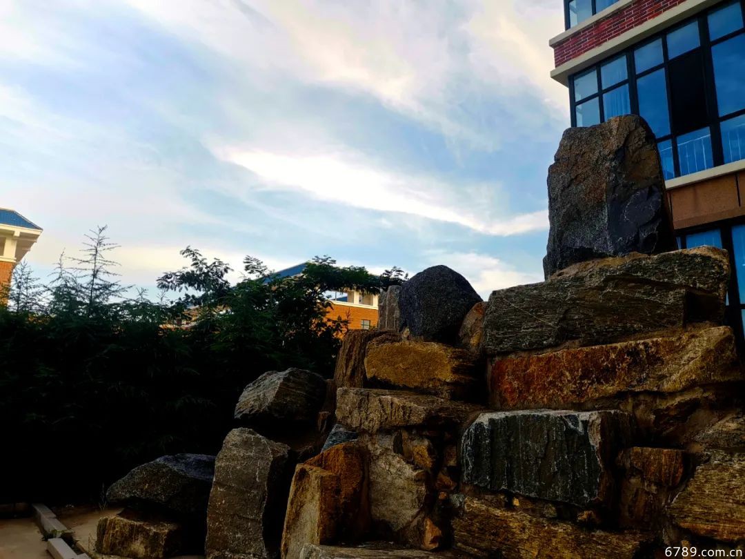 山東力明科技職業(yè)學院