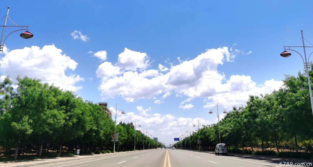 山東力明科技職業(yè)學院