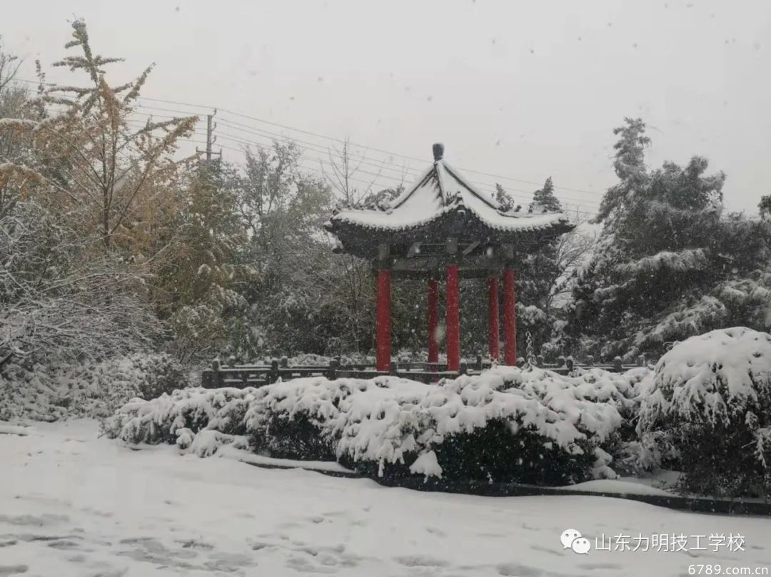 山東力明科技職業(yè)學院
