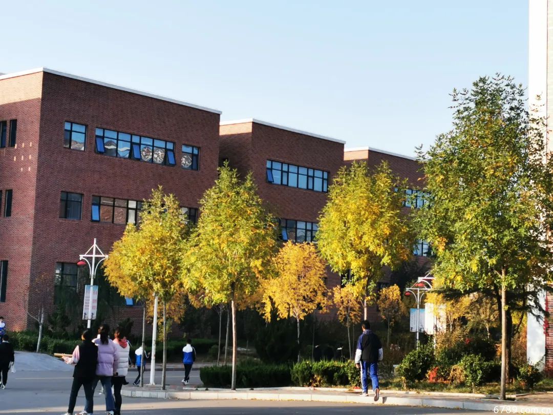 山東力明科技職業(yè)學院 山東力明科技職業(yè)學院