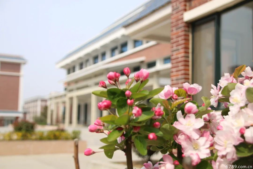 山東力明科技職業(yè)學院 山東力明科技職業(yè)學院