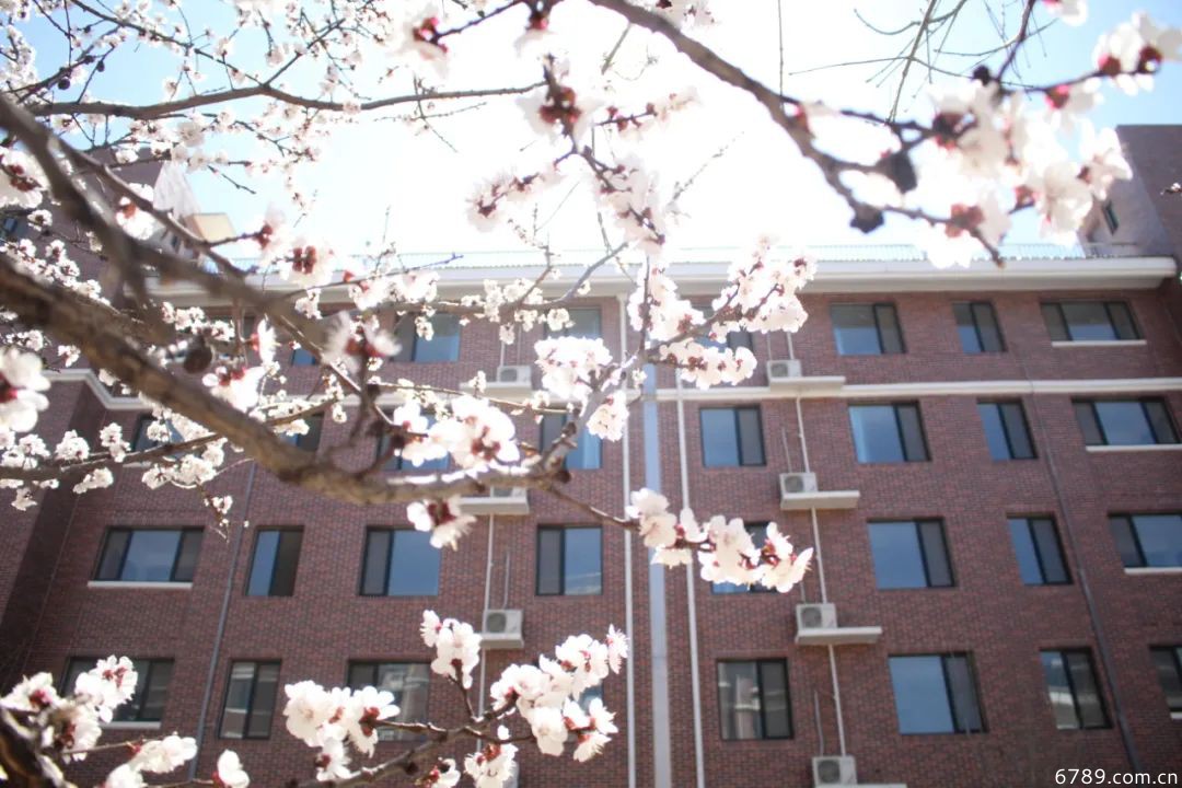 山東力明科技職業(yè)學院 山東力明科技職業(yè)學院