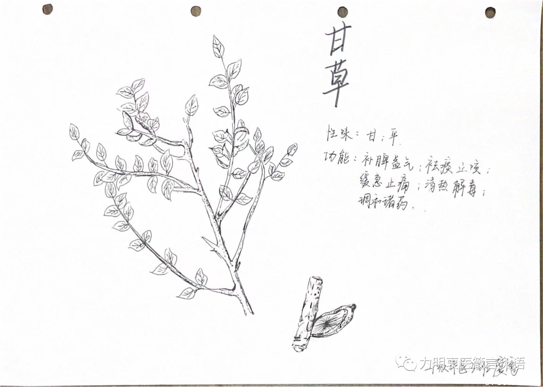 山東力明科技職業(yè)學院