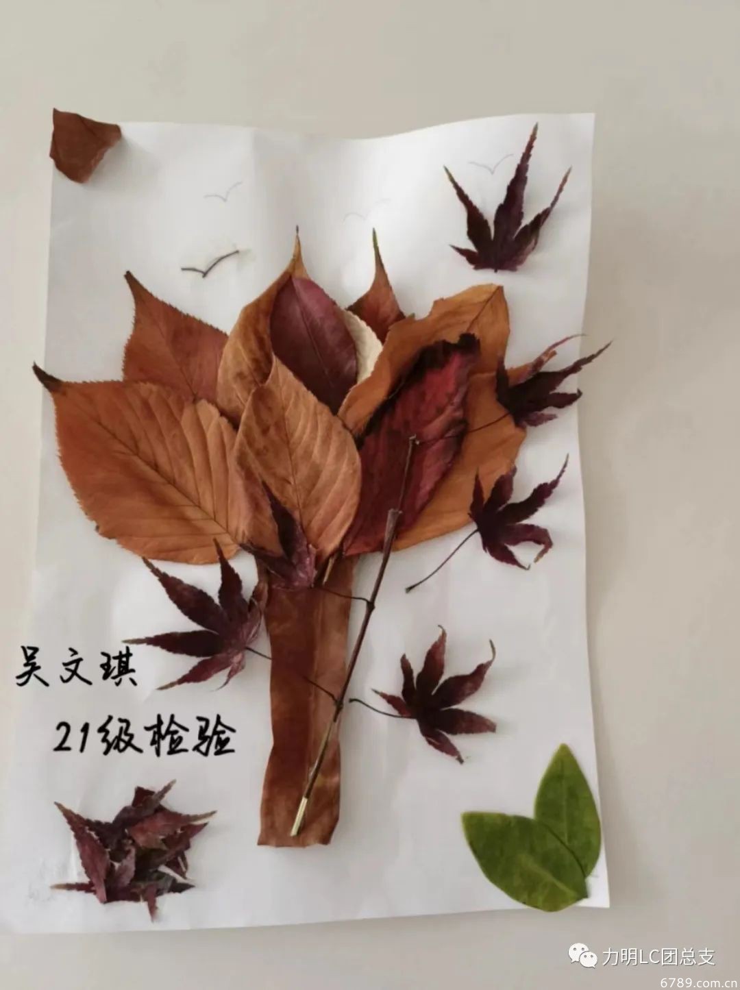 1669180935747455.jpg 山東力明科技職業(yè)學(xué)院