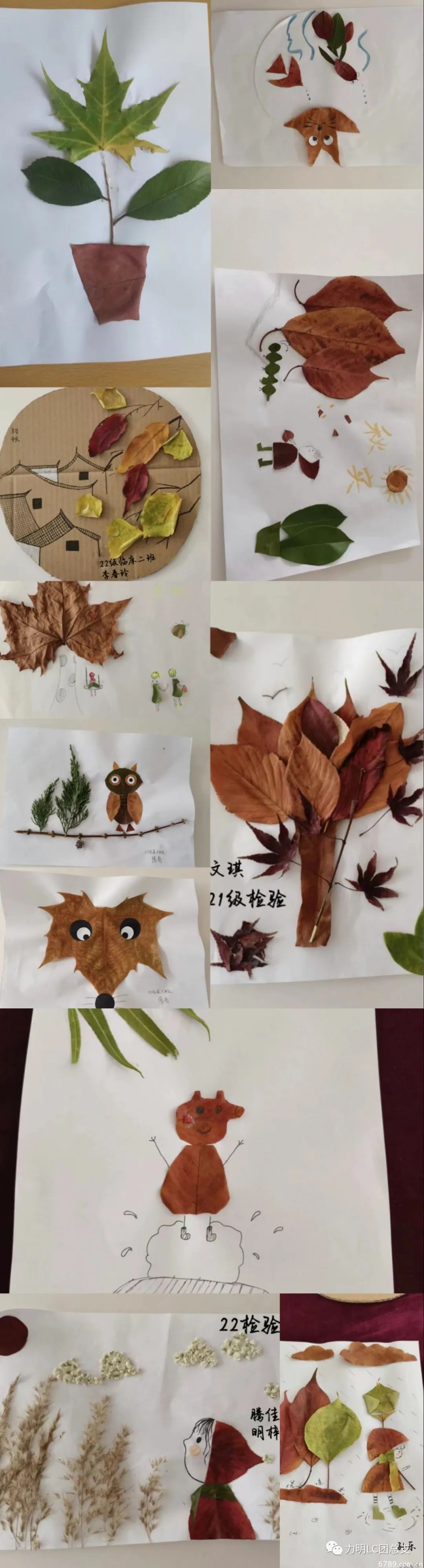 山東力明科技職業(yè)學(xué)院 山東力明科技職業(yè)學(xué)院
