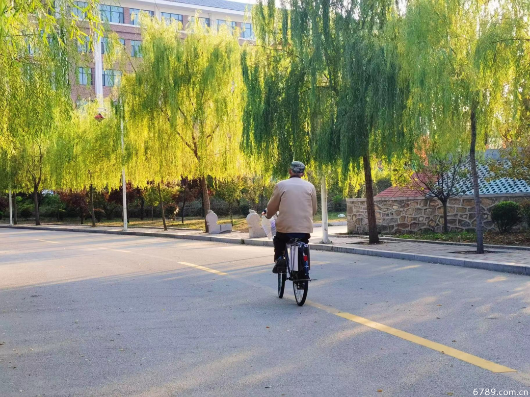 山東力明科技職業(yè)學院