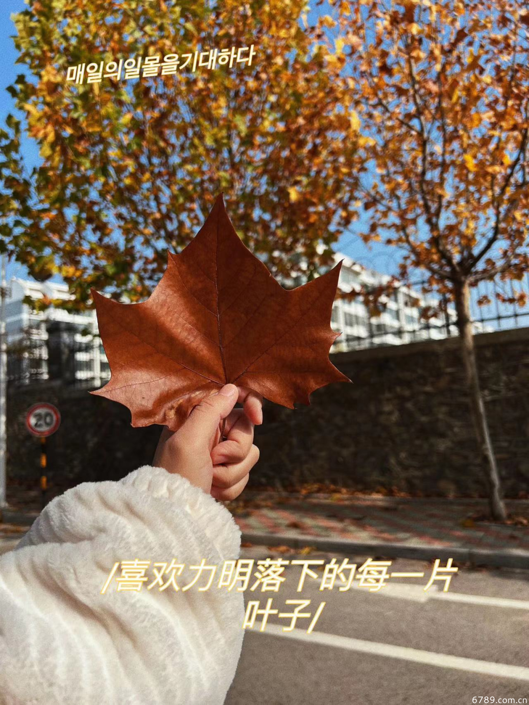 山東力明科技職業(yè)學院