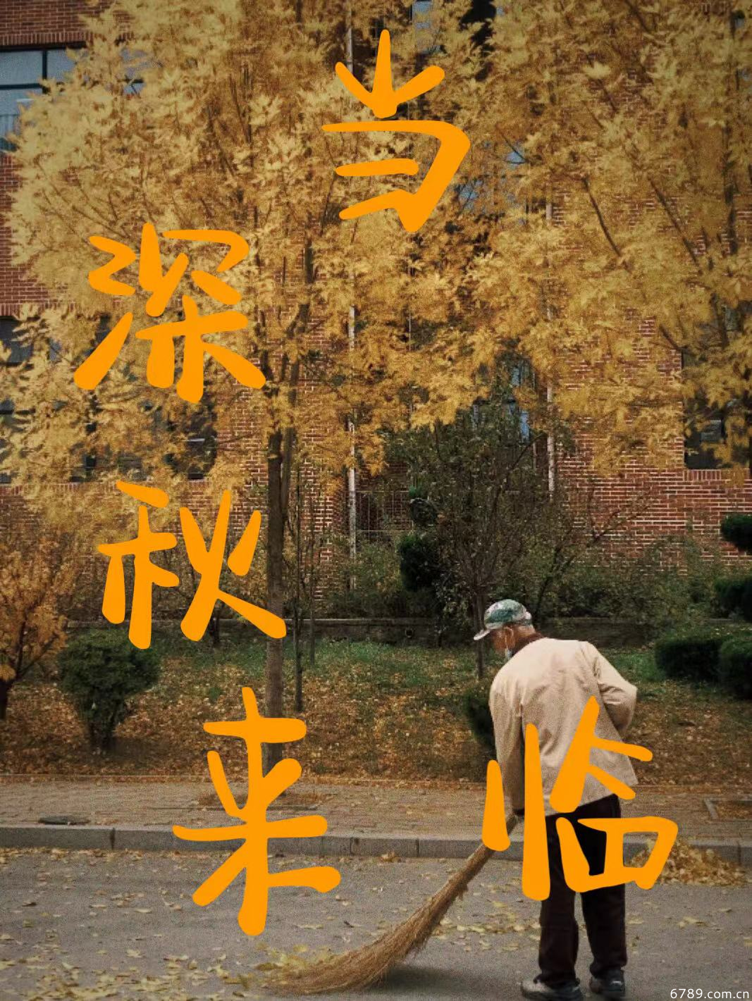 山東力明科技職業(yè)學院