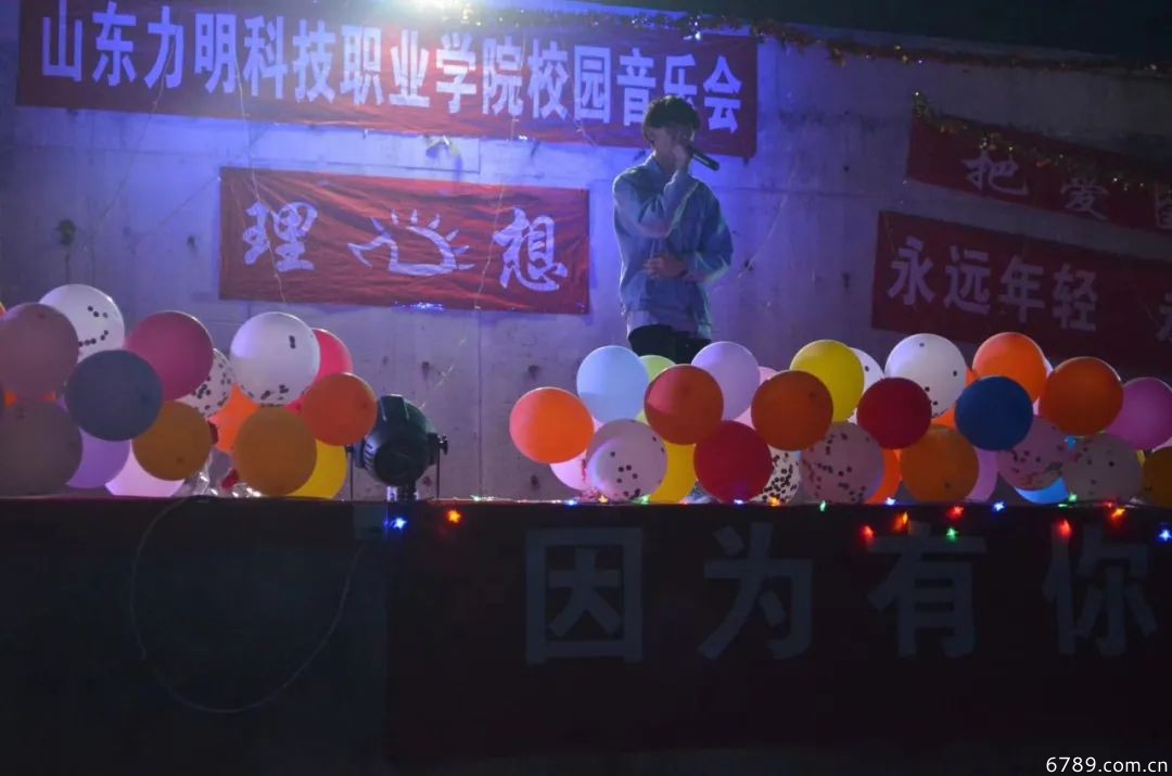 山東力明科技職業(yè)學院 山東力明科技職業(yè)學院