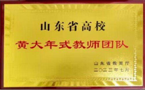 山東省高校---黃大年式教師團(tuán)隊(duì)